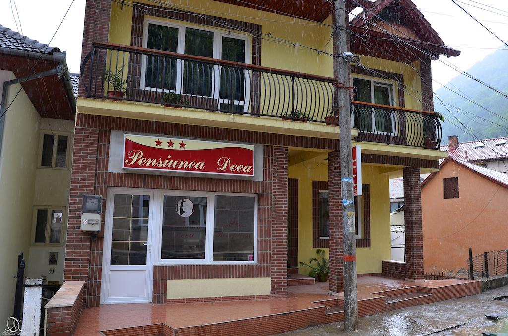 Pensiunea Deea เบยเล เฮร์คูลาเน ภายนอก รูปภาพ