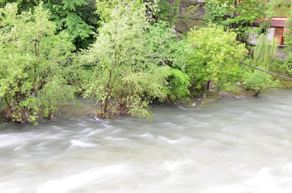 Pensiunea Deea เบยเล เฮร์คูลาเน ภายนอก รูปภาพ